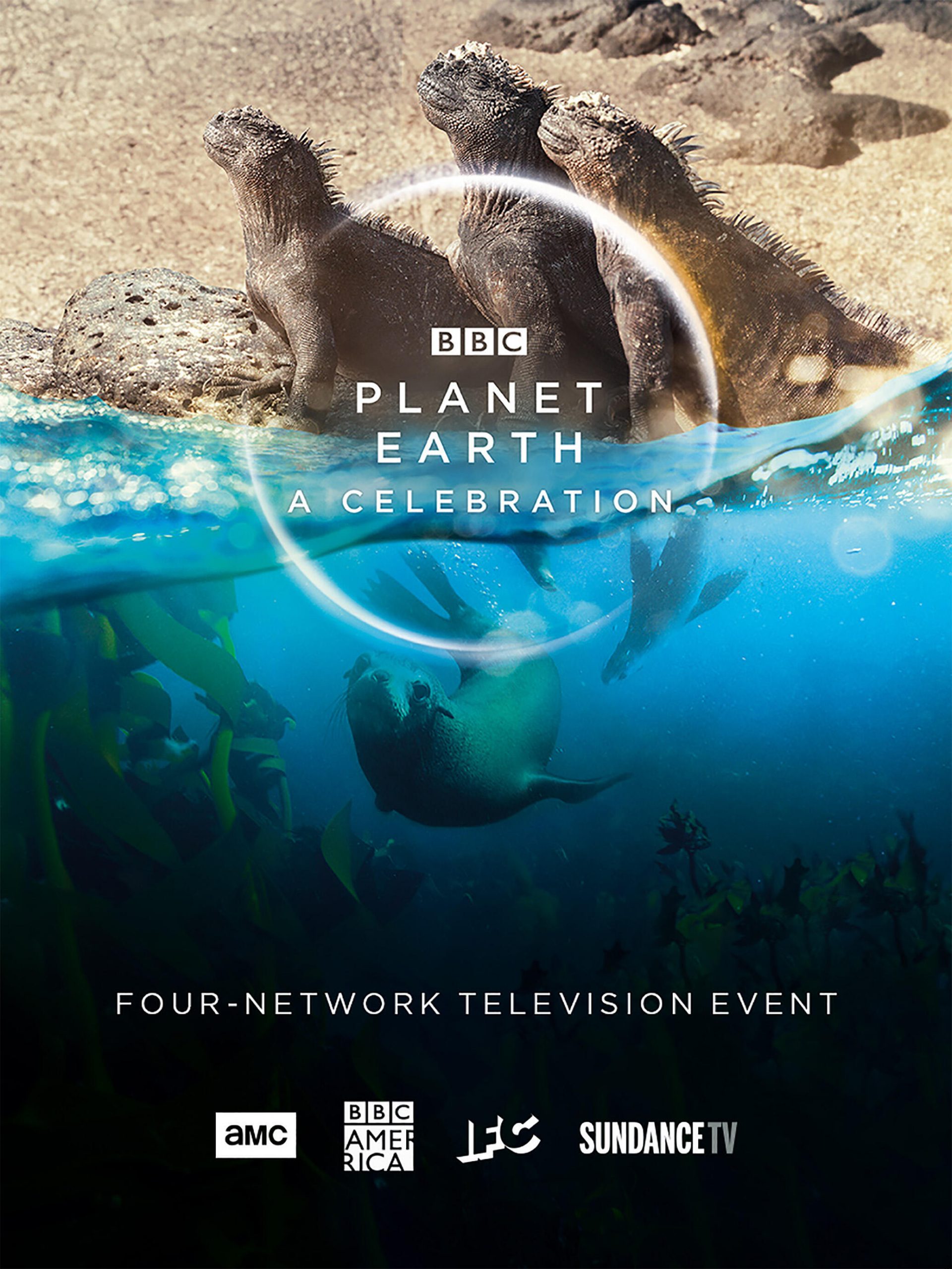 ดูหนังออนไลน์ Planet Earth A Celebration (2020)