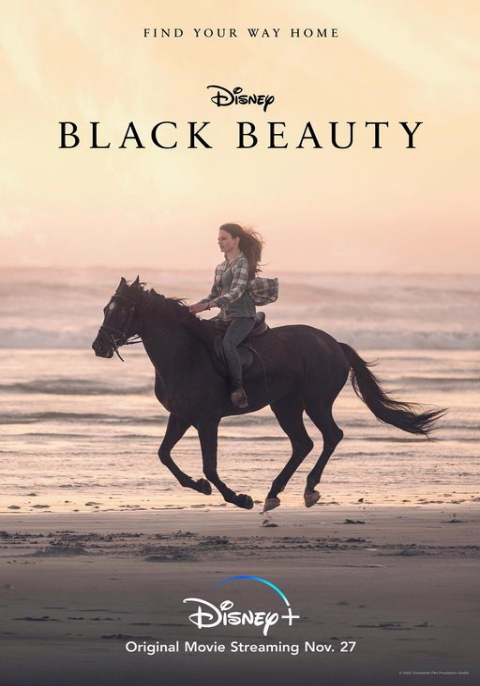 ดูหนังออนไลน์ Black Beauty (2020) แบล็คบิวตี้
