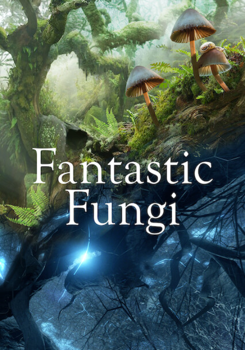 ดูหนังออนไลน์ฟรี Fantastic Fungi (2019) เห็ดมหัศจรรย์