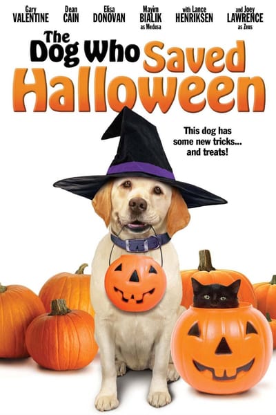 ดูหนังออนไลน์ The Dog Who Saved Halloween (2011) บิ๊กโฮ่ง ซูเปอร์หมา ป่วนฮาโลวีน