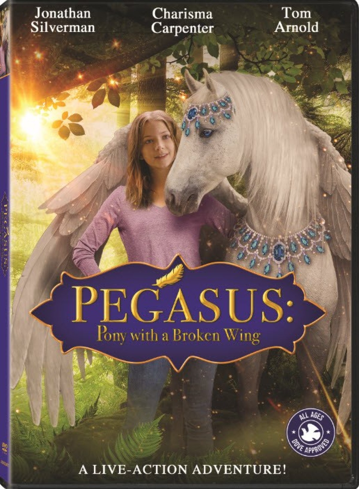 ดูหนังออนไลน์ฟรี ดูหนังใหม่ Pegasus Pony with a Broken Wing (2019) ม้าเพกาซัสที่มีปีกหัก